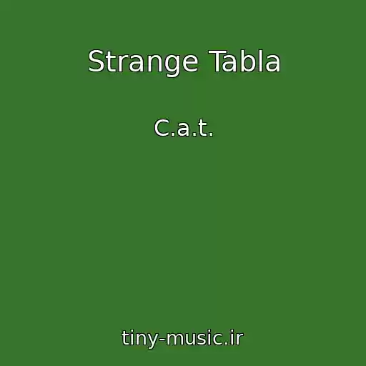 کاور آهنگ Strange Tabla از C.a.t.