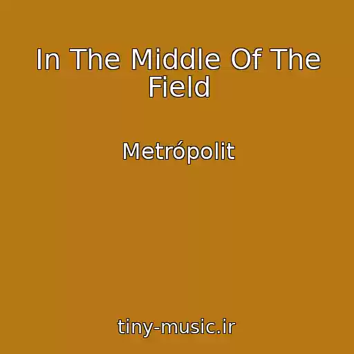 کاور آهنگ In The Middle Of The Field از Metrópolit