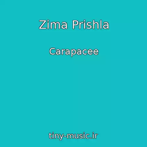 کاور آهنگ Zima Prishla از Carapacee