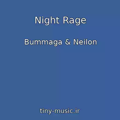 کاور آهنگ Night Rage از Bummaga & Neilon