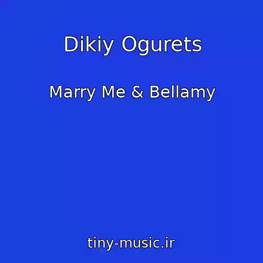 کاور آهنگ Dikiy Ogurets از Marry Me & Bellamy