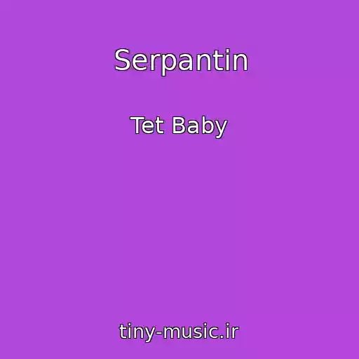 کاور آهنگ Serpantin از Tet Baby