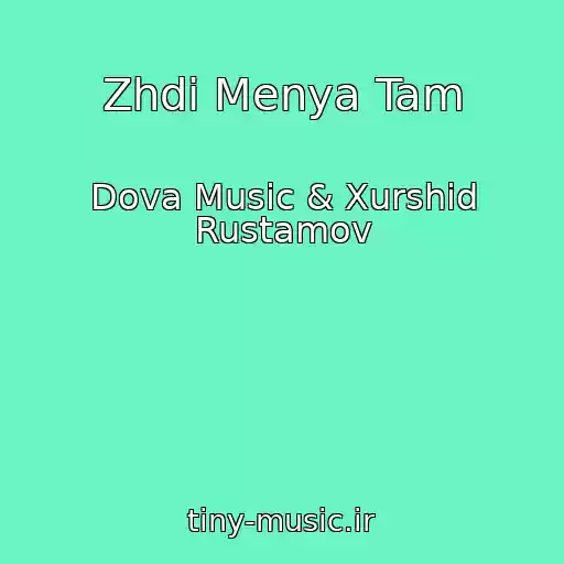 کاور آهنگ Zhdi Menya Tam از Dova Music & Xurshid Rustamov