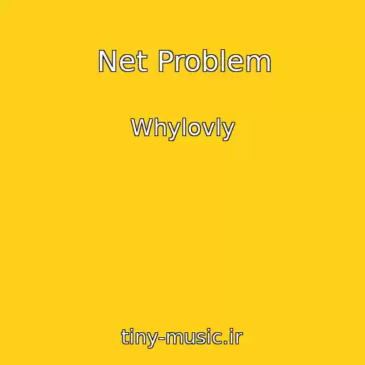 کاور آهنگ Net Problem از Whylovly
