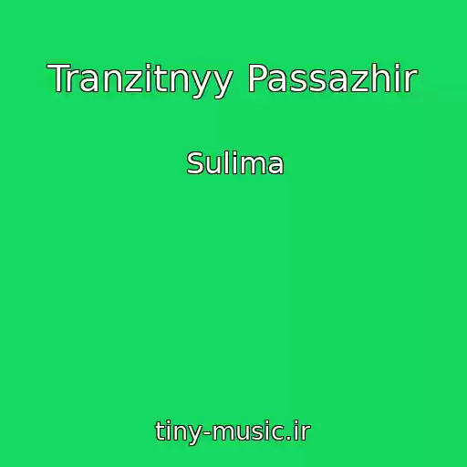 کاور آهنگ Tranzitnyy Passazhir از Sulima