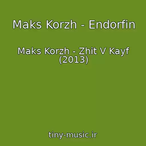 کاور آهنگ Maks Korzh - Endorfin از Maks Korzh - Zhit V Kayf (2013)