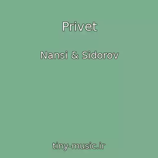 کاور آهنگ Privet از Nansi & Sidorov