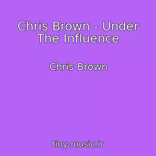 کاور آهنگ Chris Brown - Under The Influence از Chris Brown