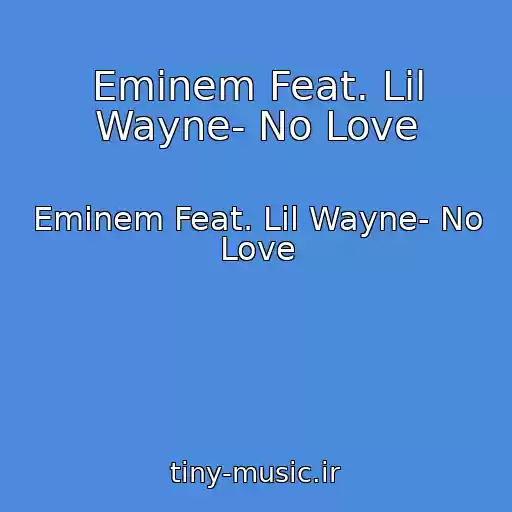 کاور آهنگ Eminem Feat. Lil Wayne- No Love از Eminem Feat. Lil Wayne- No Love
