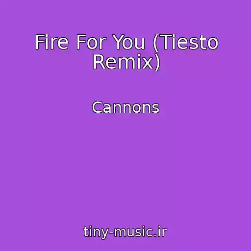 کاور آهنگ Fire For You (Tiesto Remix) از Cannons