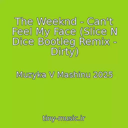 کاور آهنگ The Weeknd - Can't Feel My Face (Slice N Dice Bootleg Remix - Dirty) از Muzyka V Mashinu 2025