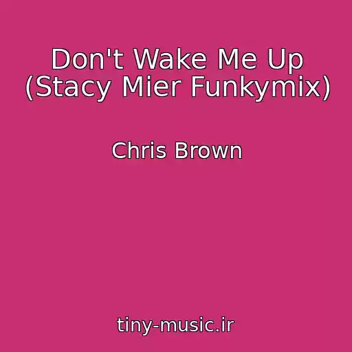 کاور آهنگ Don't Wake Me Up (Stacy Mier Funkymix) از Chris Brown