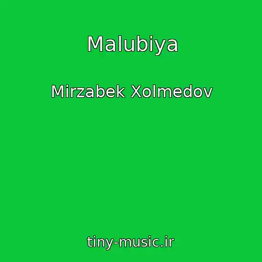 کاور آهنگ Malubiya از Mirzabek Xolmedov