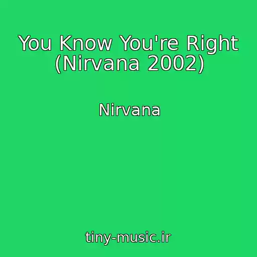 کاور آهنگ You Know You're Right (Nirvana 2002) از Nirvana