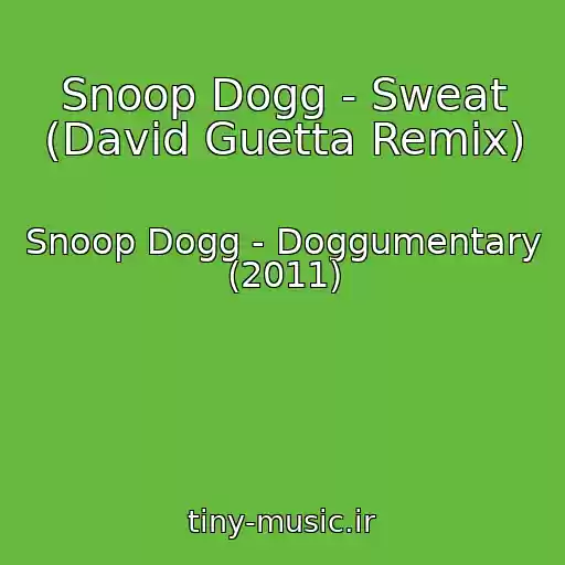 کاور آهنگ Snoop Dogg - Sweat (David Guetta Remix) از Snoop Dogg - Doggumentary (2011)