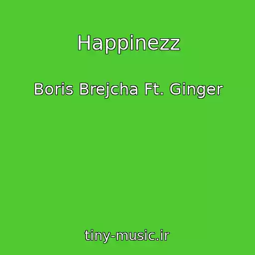 کاور آهنگ Happinezz از Boris Brejcha Ft. Ginger