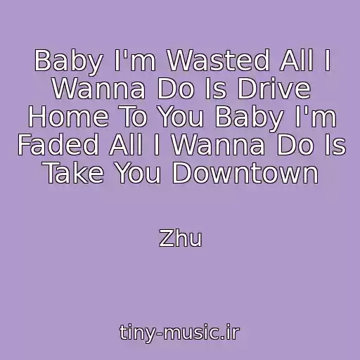 کاور آهنگ Baby I'm Wasted All I Wanna Do Is Drive Home To You Baby I'm Faded All I Wanna Do Is Take You Downtown از Zhu