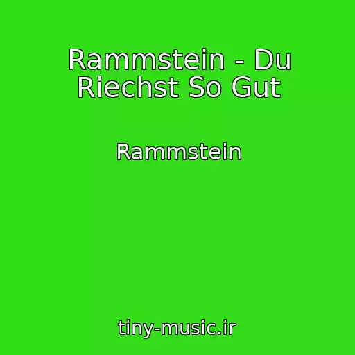کاور آهنگ Rammstein - Du Riechst So Gut از Rammstein