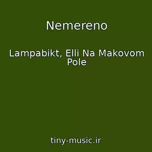 کاور آهنگ Nemereno از Lampabikt, Elli Na Makovom Pole