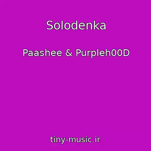 کاور آهنگ Solodenka از Paashee & Purpleh00D