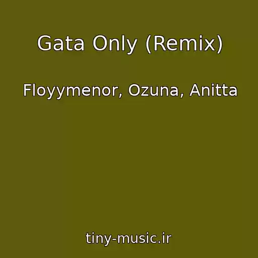 کاور آهنگ Gata Only (Remix) از Floyymenor, Ozuna, Anitta