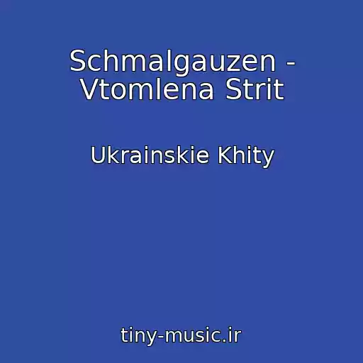 کاور آهنگ Schmalgauzen - Vtomlena Strіt از Ukrainskie Khity
