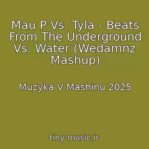 کاور آهنگ Mau P Vs. Tyla - Beats From The Underground Vs. Water (Wedamnz Mashup) از Muzyka V Mashinu 2025