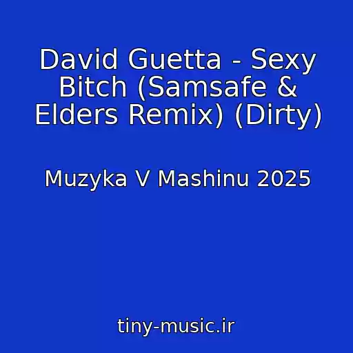 کاور آهنگ David Guetta - Sexy Bitch (Samsafe & Elders Remix) (Dirty) از Muzyka V Mashinu 2025