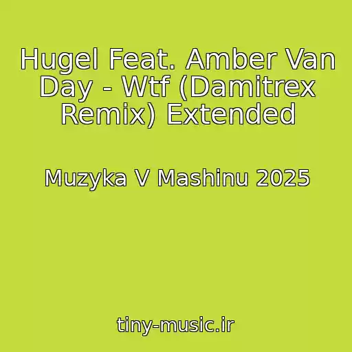 کاور آهنگ Hugel Feat. Amber Van Day - Wtf (Damitrex Remix) Extended از Muzyka V Mashinu 2025