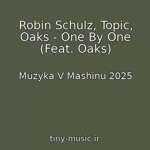 کاور آهنگ Robin Schulz, Topic, Oaks - One By One (Feat. Oaks) از Muzyka V Mashinu 2025