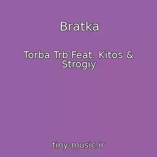 کاور آهنگ Bratka از Torba Trb Feat. Kitos & Strogiy