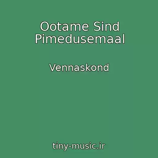 کاور آهنگ Ootame Sind Pimedusemaal از Vennaskond