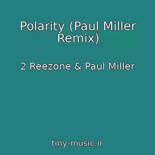 کاور آهنگ Polarity (Paul Miller Remix) از 2 Reezone & Paul Miller