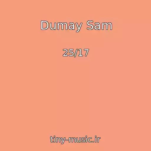 کاور آهنگ Dumay Sam از 25/17