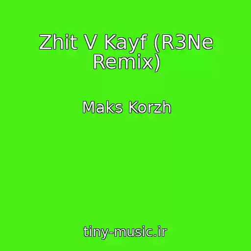 کاور آهنگ Zhit V Kayf (R3Ne Remix) از Maks Korzh