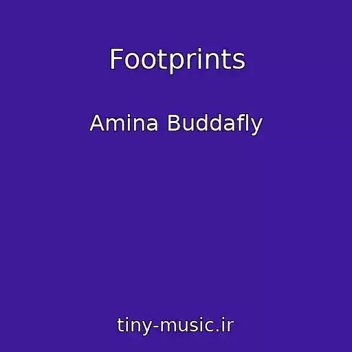 کاور آهنگ Footprints از Amina Buddafly
