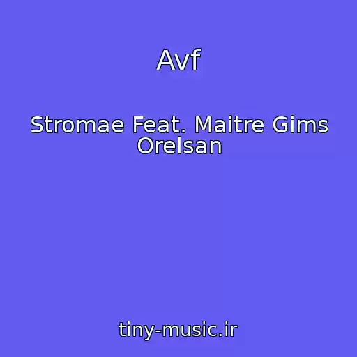 کاور آهنگ Avf از Stromae Feat. Maitre Gims Orelsan