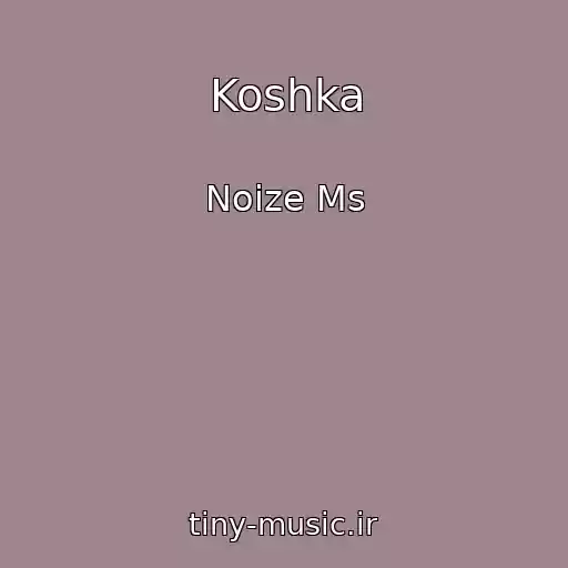 کاور آهنگ Koshka از Noize Ms
