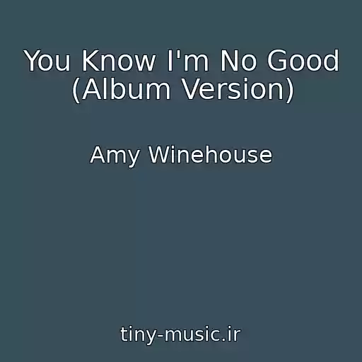 کاور آهنگ You Know I'm No Good (Album Version) از Amy Winehouse