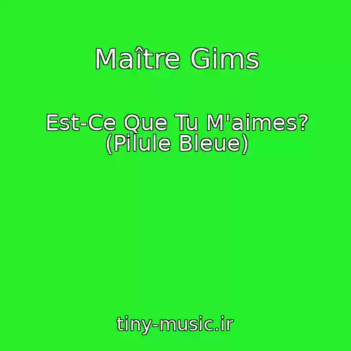کاور آهنگ Maître Gims از Est-Ce Que Tu M'aimes? (Pilule Bleue)