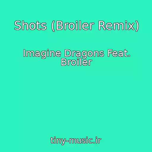 کاور آهنگ Shots (Broiler Remix) از Imagine Dragons Feat. Broiler