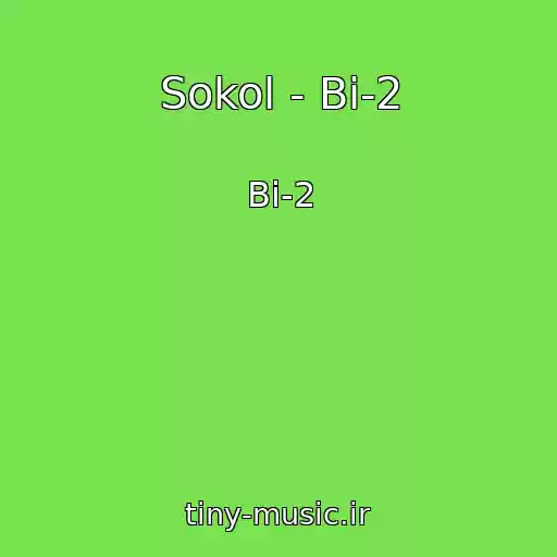 کاور آهنگ Sokol - Bi-2 از Bi-2