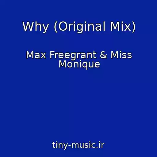 کاور آهنگ Why (Original Mix) از Max Freegrant & Miss Monique
