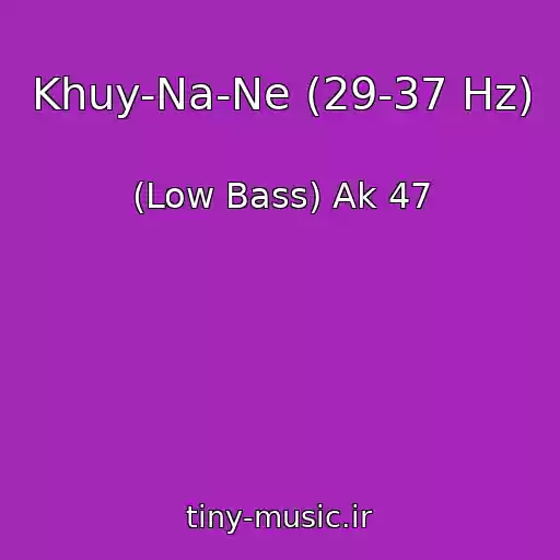 کاور آهنگ Khuy-Na-Ne (29-37 Hz) از (Low Bass) Ak 47