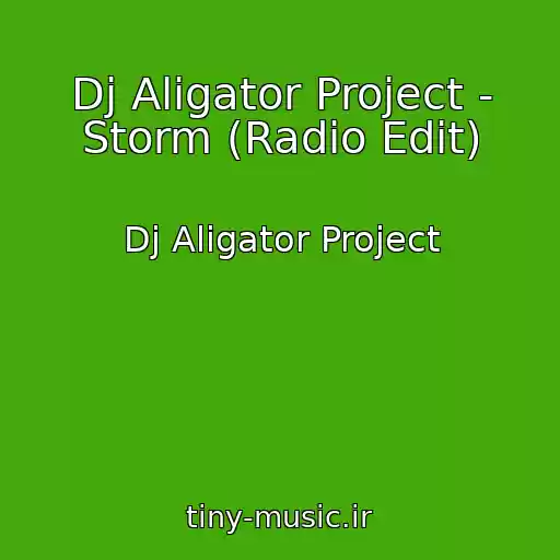 کاور آهنگ Dj Aligator Project - Storm (Radio Edit) از Dj Aligator Project