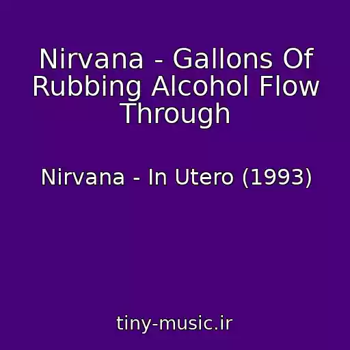 کاور آهنگ Nirvana - Gallons Of Rubbing Alcohol Flow Through از Nirvana - In Utero (1993)