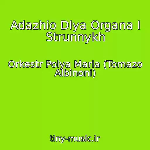 کاور آهنگ Adazhio Dlya Organa I Strunnykh از Orkestr Polya Maria (Tomazo Albinoni)