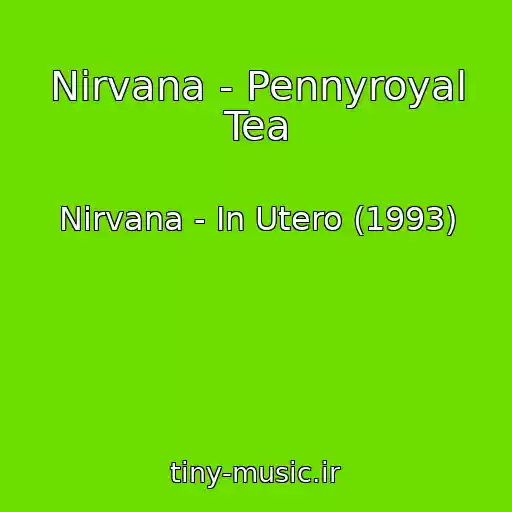 کاور آهنگ Nirvana - Pennyroyal Tea از Nirvana - In Utero (1993)