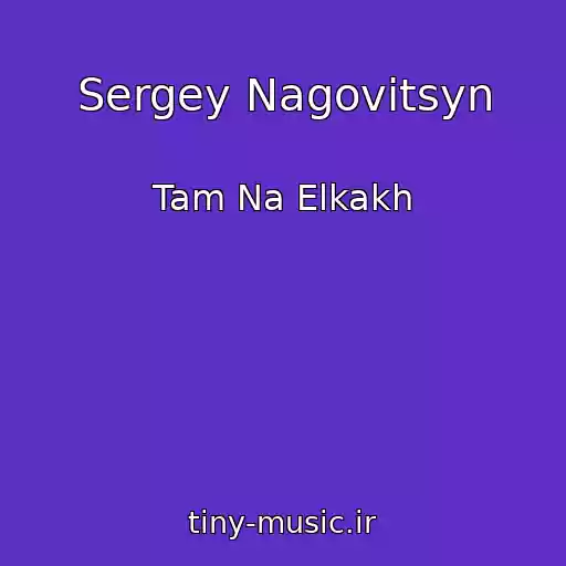کاور آهنگ Sergey Nagovitsyn از Tam Na Elkakh