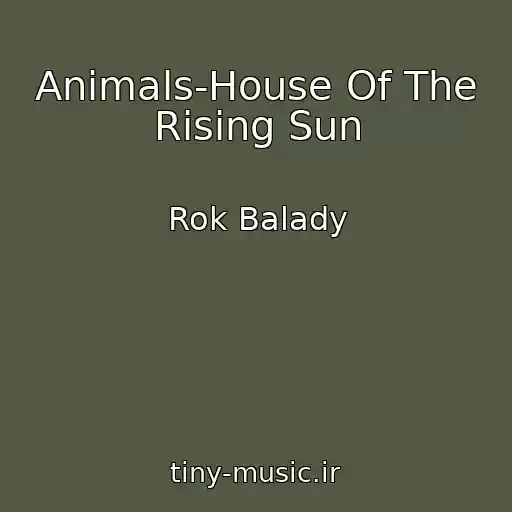 کاور آهنگ Animals-House Of The Rising Sun از Rok Balady